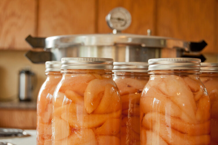 Pressure Canning vs Water Bath